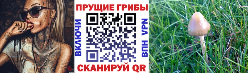 Псилоцибиновые грибы MAGIC MUSHROOMS Верхоянск