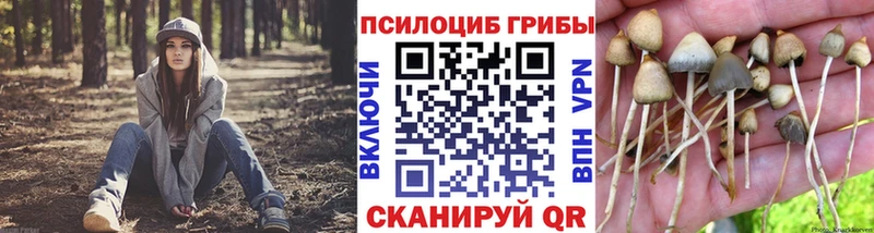 Галлюциногенные грибы мицелий  Верхоянск 